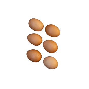 Huevos de campo