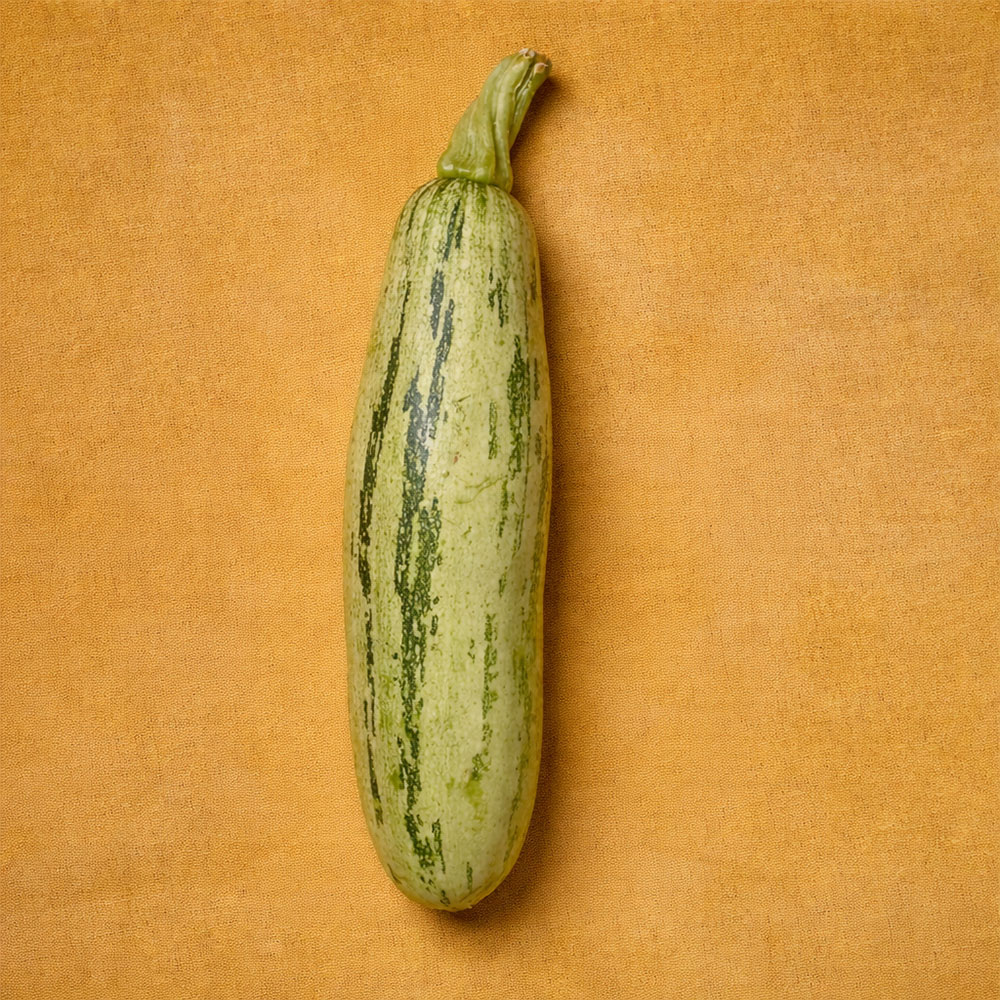 Zucchini