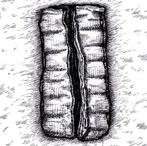 bifurcador-piezas-enteras