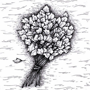 bifurcador-proveeduria